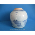 Chinese blue and white porcelain jar